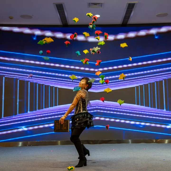 Program performansı