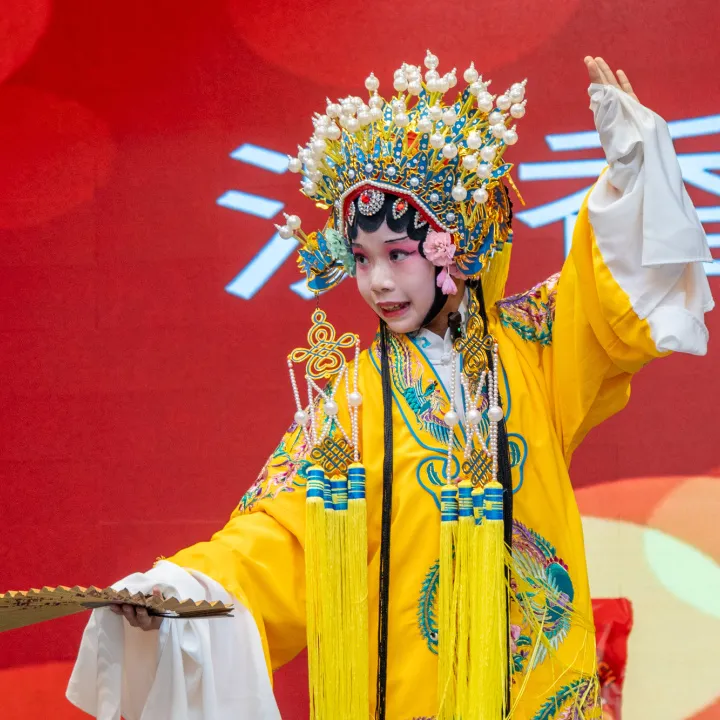 Program performansı