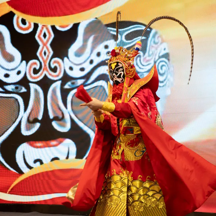 Program performansı